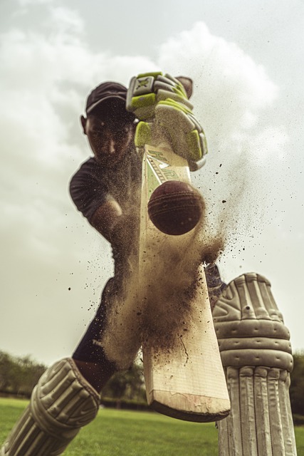 cricket in nature-environment-7