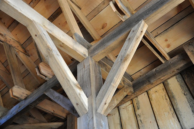 timber in nature-environment-5