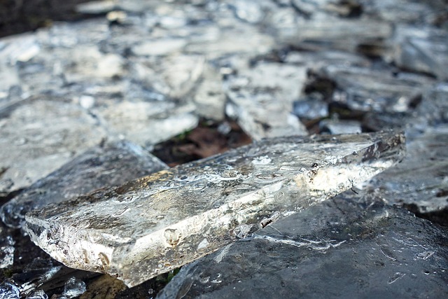 fragment in nature-environment-5