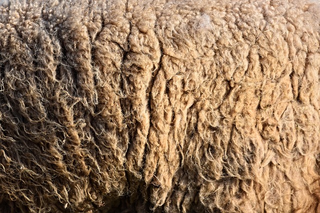 wool in home-living-7