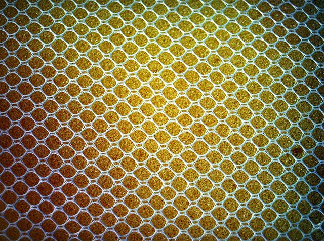 sponge in home-living-9