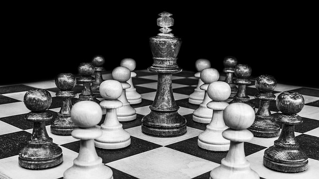 king in government-society-2